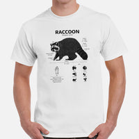 Anatomy of A Raccoon T-Shirt - Trash Panda & Street Cat Shirt - Gift for Raccoon Lovers - Wildlife Rescue & Biology, Zoology Shirt - White, Men