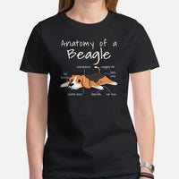 Beagle Dog Themed Clothes & Attire - Gifts for Dog Moms, Dads & Lovers - Canine Tee Shirts For Humans - Anatomy of A Beagle T-Shirt - Black, Women