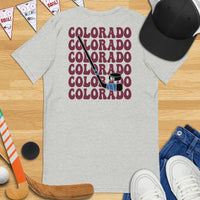 Colorado Tee Shirt - Denver Shirt - Hockey Tee - Ice Hockey T-Shirt - Game Day Shirt - Retro Hockey Shirt - Gift for Hockey Player & Lover - Athletic Heather