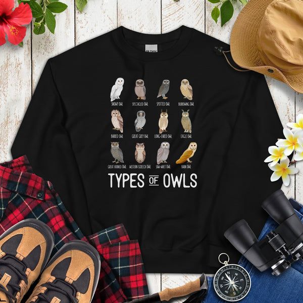 Owl Aesthetic Groovy Sweatshirt - Types of Owls Cozy Sweatshirt - Cottagecore Granola Pullover for Outdoorsy Birder, Birdwatcher - Black