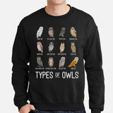 Owl Aesthetic Groovy Sweatshirt - Types of Owls Cozy Sweatshirt - Cottagecore Granola Pullover for Outdoorsy Birder, Birdwatcher - Black, Men