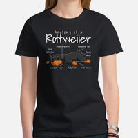 Rottweiler Dog Themed Clothes & Attire - Funny Canine Tee Shirts For Humans - Gifts for Dog Lovers & Owners - Anatomy of A Rottie Shirt - Black, Women