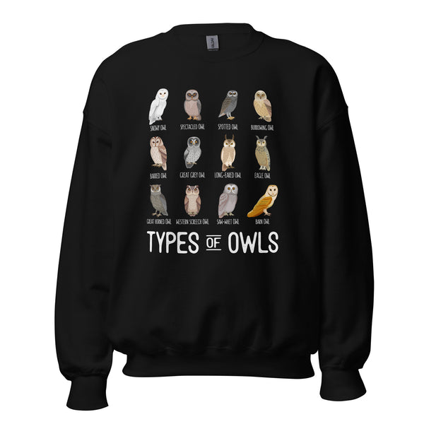 Owl Aesthetic Groovy Sweatshirt - Types of Owls Cozy Sweatshirt - Cottagecore Granola Pullover for Outdoorsy Birder, Birdwatcher - Black