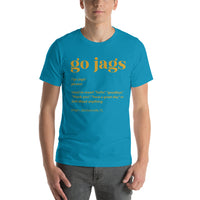 Jacksonville Football Fanatic Vintage Graphic T-Shirt: Ideal Gifts for Football Fans - Game Day Tee - Funny Go Jags Definition Shirt - Aqua, Men