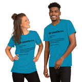 Charlotte Football Fanatic Vintage Graphic T-Shirt: Ideal Gifts for Football Fans - Game Day Shirt - Funny Go Panthers Definition Shirt - Aqua, Unisex