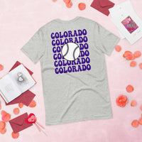 Retro Colorado Baseball Emblem Fanatic T-Shirt: Gift Ideas for Him & Her, Baseball Enthusiasts & Lovers - Game Day Tee - Athletic Heather, Back