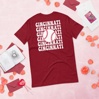 Retro Cincinnati Baseball Emblem Fanatic T-Shirt: Gift Ideas for Him & Her, Baseball Enthusiasts & Lovers - Vintage Game Day Tee - Cardinal, Back