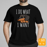 Weiner Dog Themed Clothes - Gifts for Dachshund Dog Moms, Dads & Lovers - Funny Canine Tee Shirts For Humans - I Do What I Want T-Shirt - Black, Plus Size