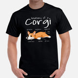 Welsh Corgi Dog Themed Clothes - Gifts for Dog Moms, Dads & Lovers - Funny Canine Tee Shirts For Humans - Anatomy of A Corgi T-Shirt - Black, Men